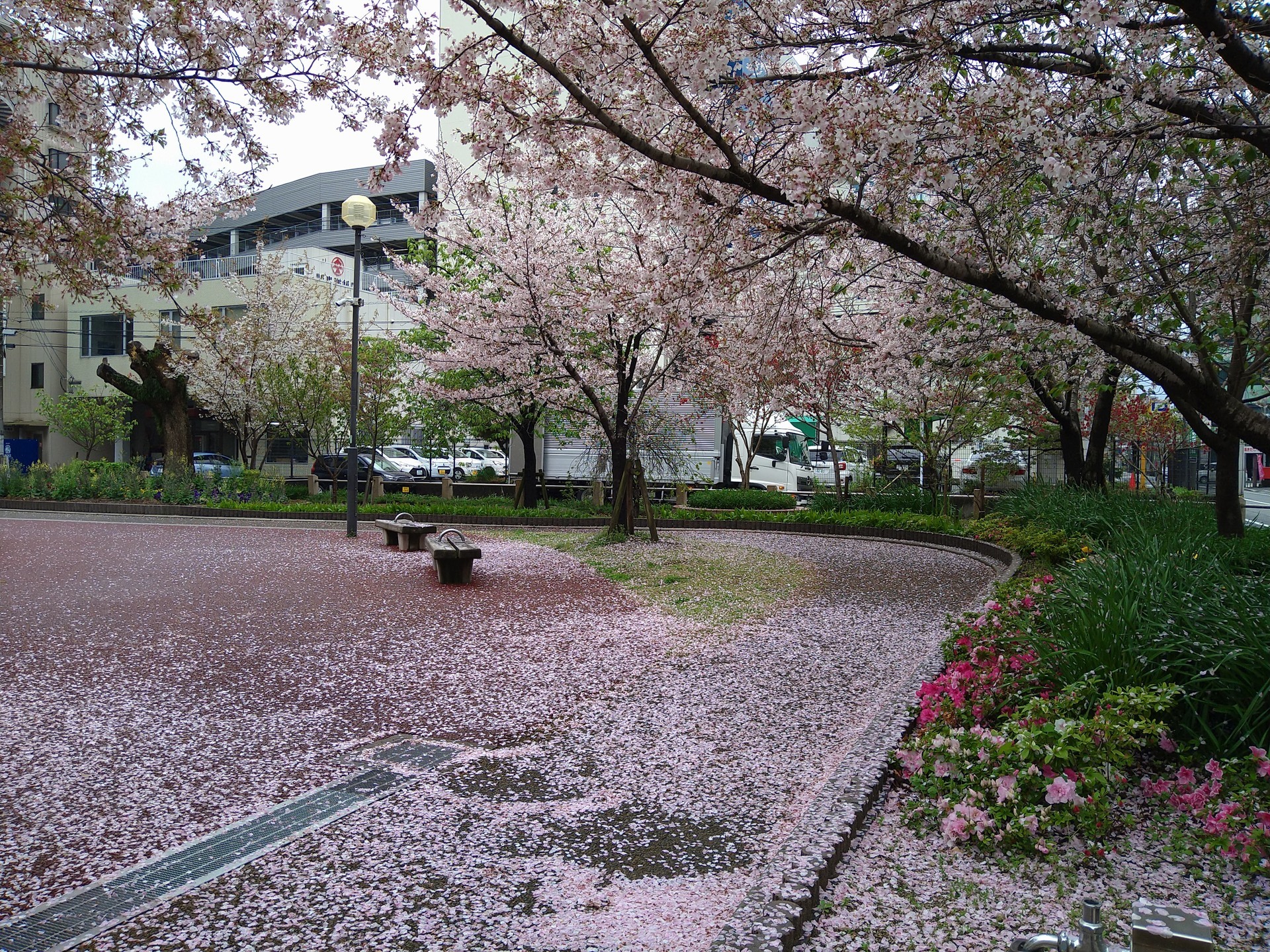 DSC_5323.JPG