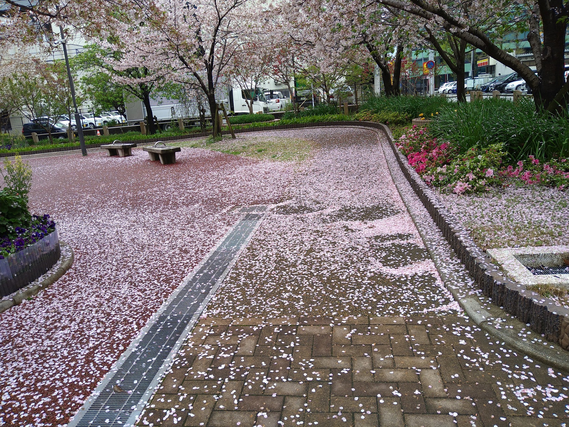 DSC_5328.JPG