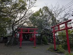 PXL_20250403_090404457.jpg