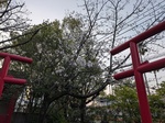 PXL_20250403_090451794.jpg