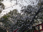 PXL_20250403_090632132.jpg